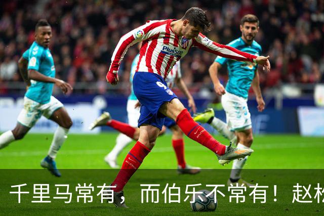千里马常有，而伯乐不常有！赵松源会是我们的“国产哈兰德”吗？